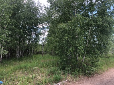 фото участка